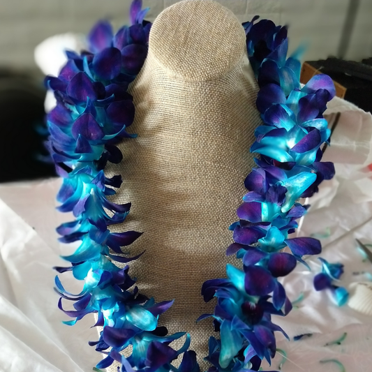 Shop beautiful 2025 Graduation Fresh Orchid Leis in a variety of vibrant colors. Handcrafted with care, our custom leis make your graduation unforgettable. Perfect for weddings, Luaua's, Birthdays, Retirement, Office gifting, Holiday Parties, Funeral, Promotion, & More. Order now before they’re gone! Handcrafted and strung in Arizona. Seasonal product-contact us for more info.